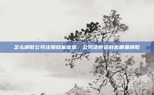 怎么调取公司注册档案信息,公司注册资料去哪里调取