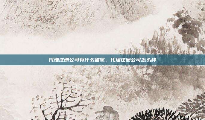 代理注册公司有什么猫腻,代理注册公司怎么样