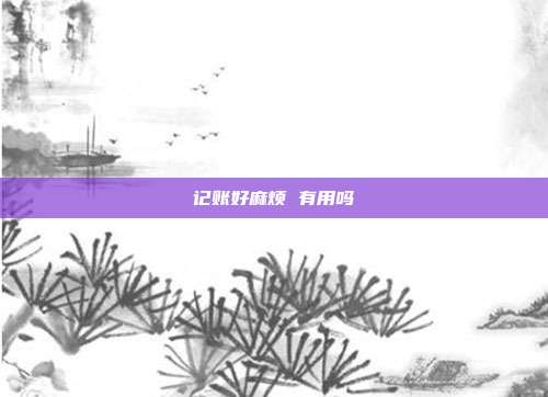 记账好麻烦 有用吗