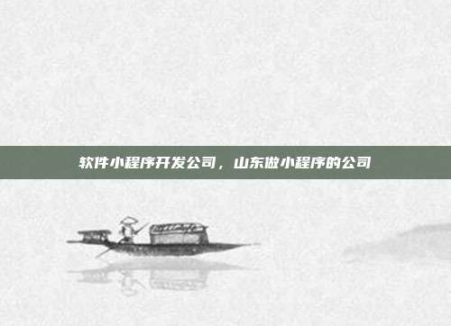 软件小程序开发公司,山东做小程序的公司
