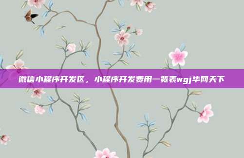微信小程序开发区,小程序开发费用一览表wgj华网天下