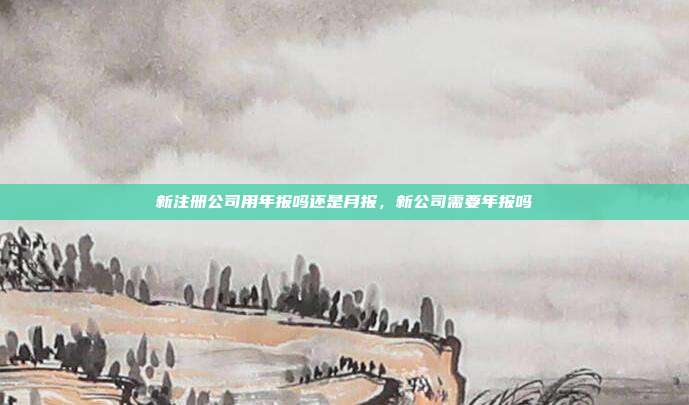 新注册公司用年报吗还是月报，新公司需要年报吗