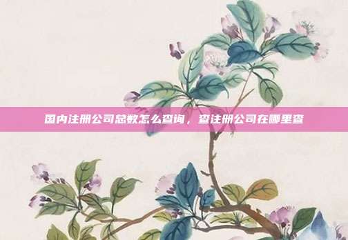 国内注册公司总数怎么查询,查注册公司在哪里查