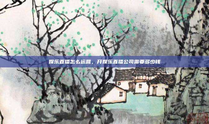 娱乐直播怎么运营,开娱乐直播公司需要多少钱