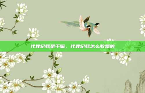 代理记账是干嘛,代理记账怎么收费的