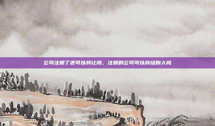 公司注册了还可以转让吗，注册的公司可以转给别人吗