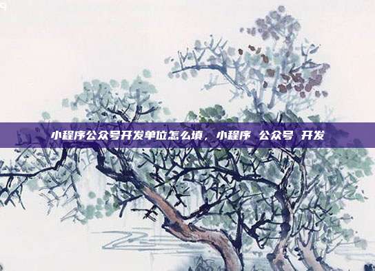 小程序公众号开发单位怎么填,小程序 公众号 开发