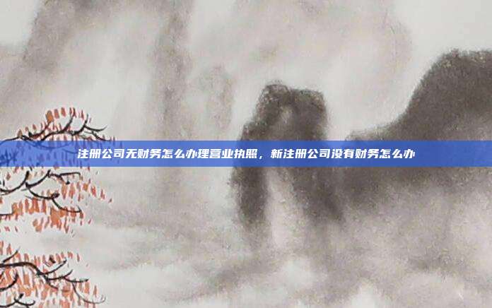 注册公司无财务怎么办理营业执照，新注册公司没有财务怎么办