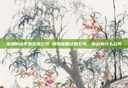 深圳南山年费注册公司 深圳福田注册公司，南山有什么公司
