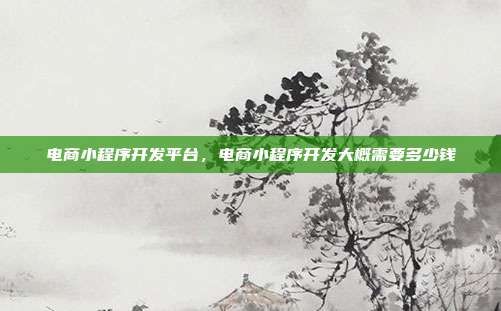 电商小程序开发平台,电商小程序开发大概需要多少钱
