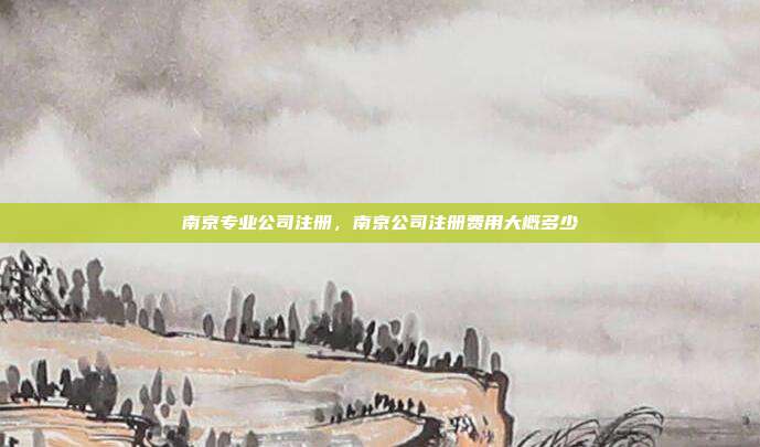 南京专业公司注册，南京公司注册费用大概多少