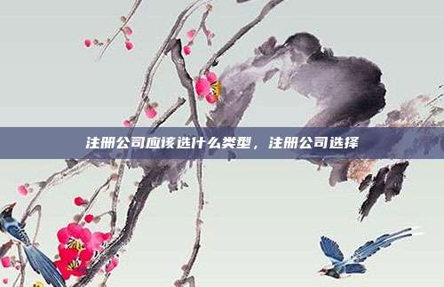 注册公司应该选什么类型，注册公司选择