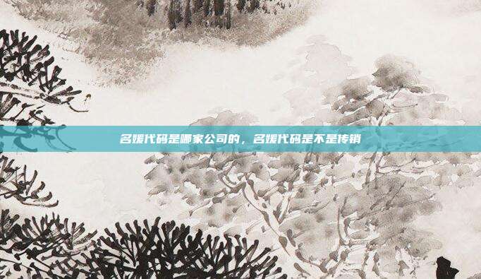 名媛代码是哪家公司的,名媛代码是不是传销