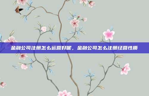 金融公司注册怎么运营好呢，金融公司怎么注册经营性质