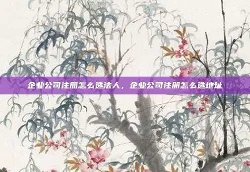 企业公司注册怎么选法人，企业公司注册怎么选地址