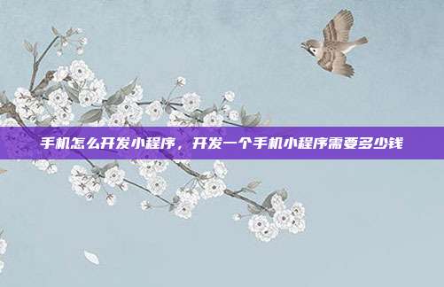 手机怎么开发小程序,开发一个手机小程序需要多少钱