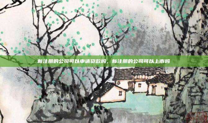 新注册的公司可以申请贷款吗，新注册的公司可以上市吗