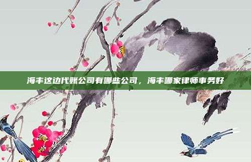 海丰这边代账公司有哪些公司，海丰哪家律师事务好