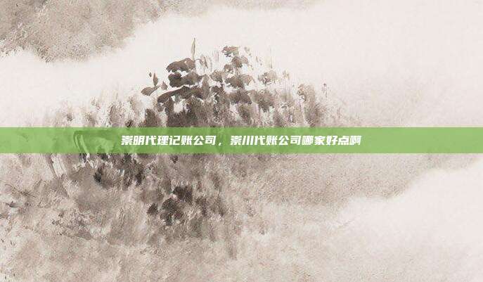 崇明代理记账公司,崇川代账公司哪家好点啊