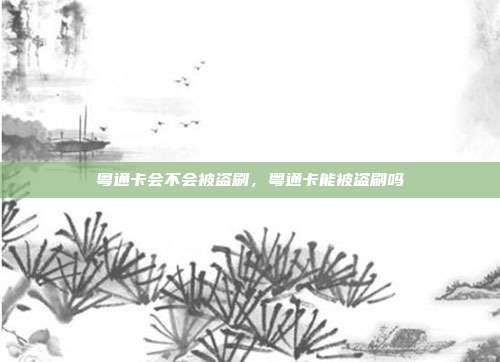 粤通卡会不会被盗刷，粤通卡能被盗刷吗