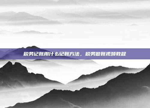 税务记账用什么记账方法，税务做账视频教程