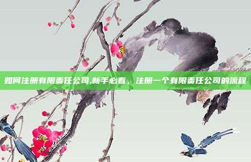 如何注册有限责任公司,新手必看,注册一个有限责任公司的流程
