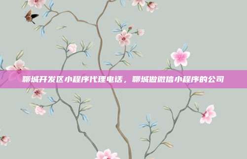 聊城开发区小程序代理电话，聊城做微信小程序的公司