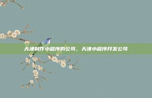 天津制作小程序的公司,天津小程序开发公司