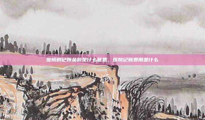 医院的记账金额是什么意思,医院记账费用是什么