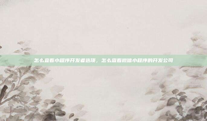 怎么查看小程序开发者选项，怎么查看微信小程序的开发公司