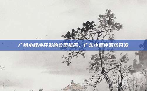广州小程序开发的公司排名,广东小程序系统开发