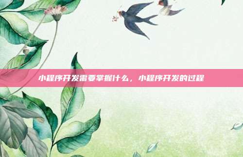 小程序开发需要掌握什么,小程序开发的过程