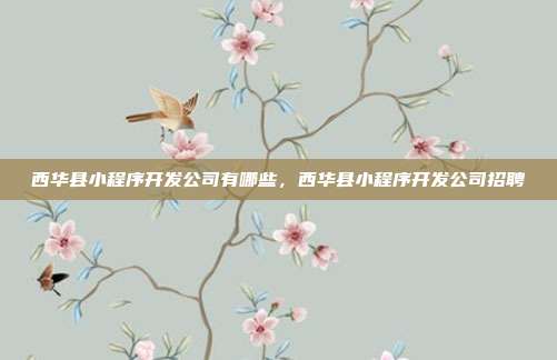 西华县小程序开发公司有哪些,西华县小程序开发公司招聘