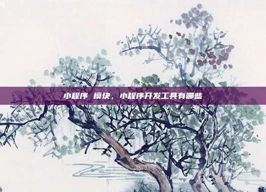 小程序 模块,小程序开发工具有哪些