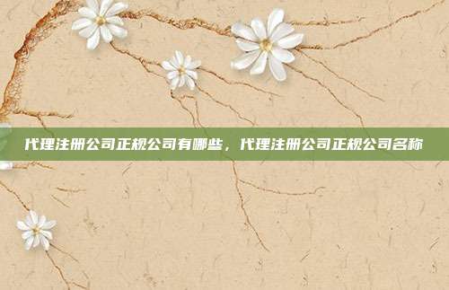 代理注册公司正规公司有哪些,代理注册公司正规公司名称