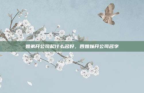 姐弟开公司起什么名好,四姐妹开公司名字