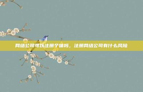 网络公司可以注册个体吗,注册网络公司有什么风险