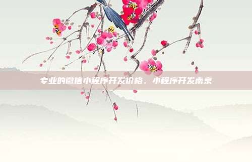 专业的微信小程序开发价格,小程序开发南京