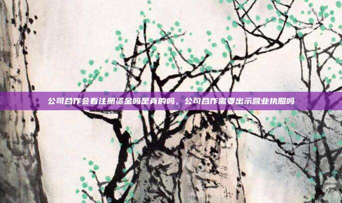 公司合作会看注册资金吗是真的吗,公司合作需要出示营业执照吗