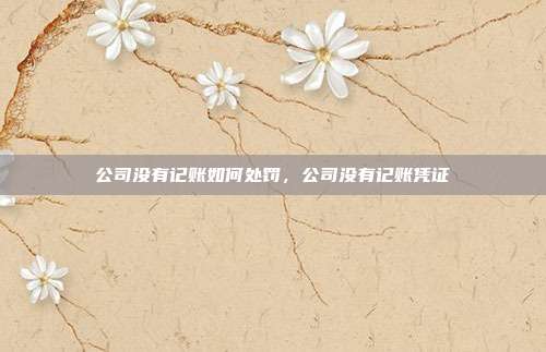 公司没有记账如何处罚,公司没有记账凭证