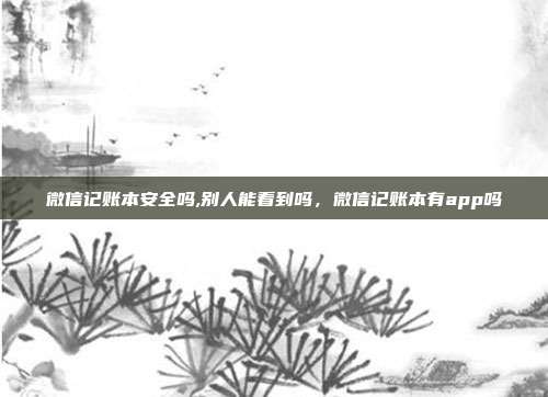 微信记账本安全吗,别人能看到吗,微信记账本有app吗