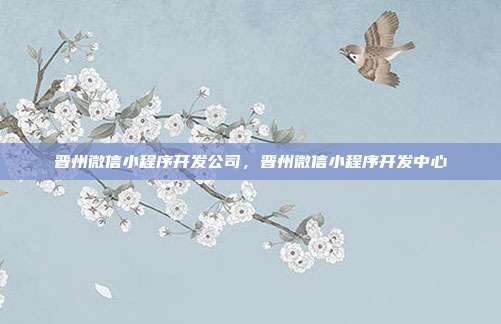 晋州微信小程序开发公司,晋州微信小程序开发中心
