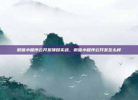 微信小程序云开发项目实战,微信小程序云开发怎么样
