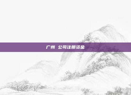 广州 公司注册资金