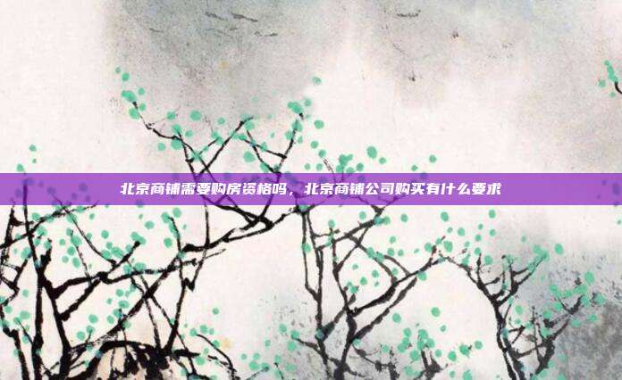北京商铺需要购房资格吗,北京商铺公司购买有什么要求