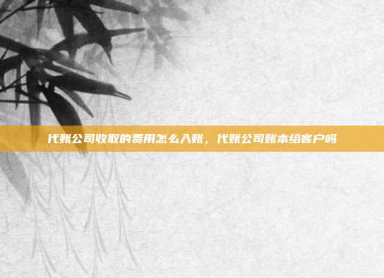 代账公司收取的费用怎么入账,代账公司账本给客户吗