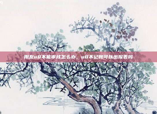 用友u8不能审核怎么办,u8不记账可以出报表吗