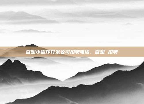 百望小程序开发公司招聘电话，百望 招聘