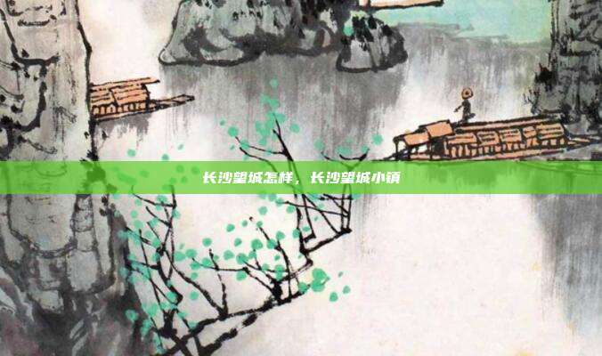 长沙望城怎样，长沙望城小镇