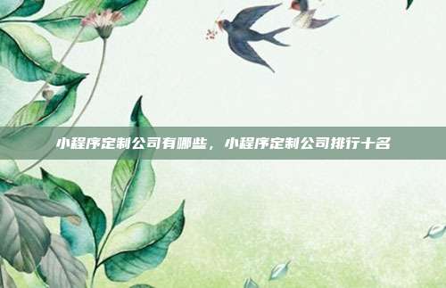 小程序定制公司有哪些,小程序定制公司排行十名